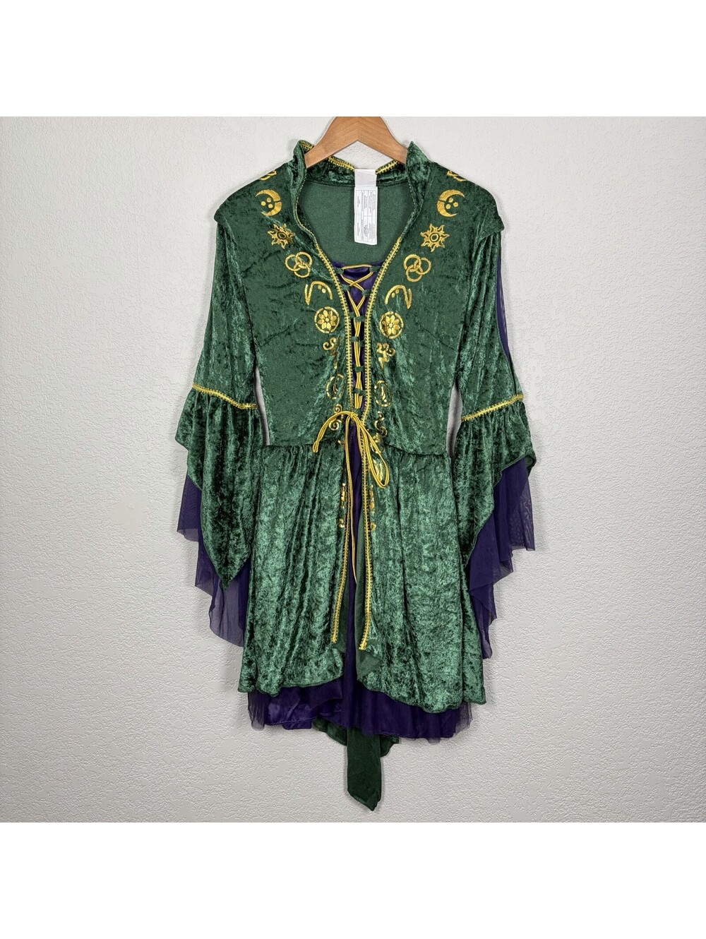 Disney Hocus Pocus Women’s L Halloween Costume Green Velvet Witch Dress